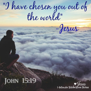 john1519